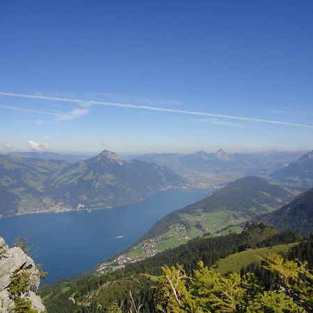 Hotel Vitznauerhof - Lifestyle Hideaway At Lake Lucerne Eksteriør billede
