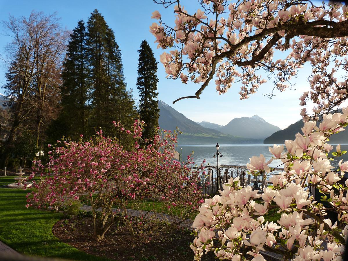 Hotel Vitznauerhof - Lifestyle Hideaway At Lake Lucerne Værelse billede